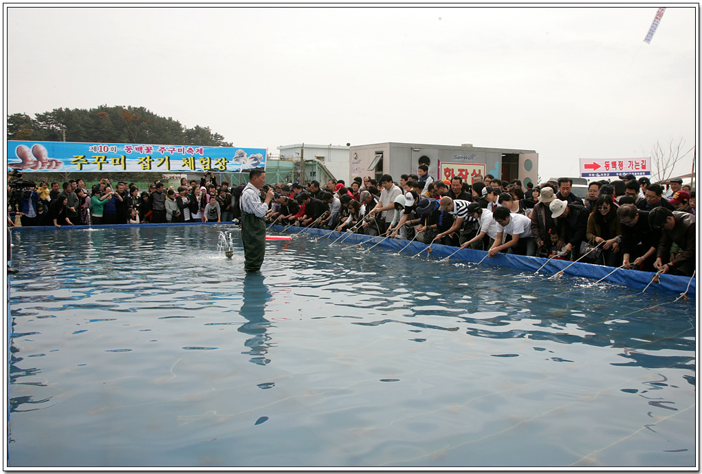 2009년 동백꽃 주꾸미축제15