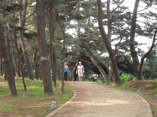 장항 솔바람  마을을 찾는 지역 주민 및 관광객이 늘고 있다