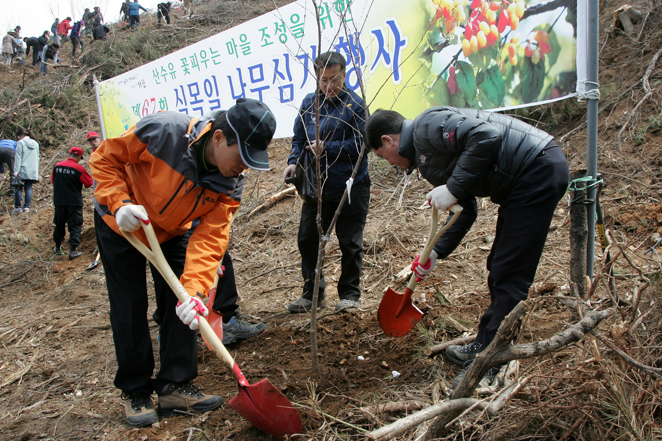 서천군은 지난 6일 비인면 성내리 일원에서 나소열 서천군수와 공무원, 지역주민 등 300여명이 참석한 가운데 제67회 나무심기 행사를 개최했다1