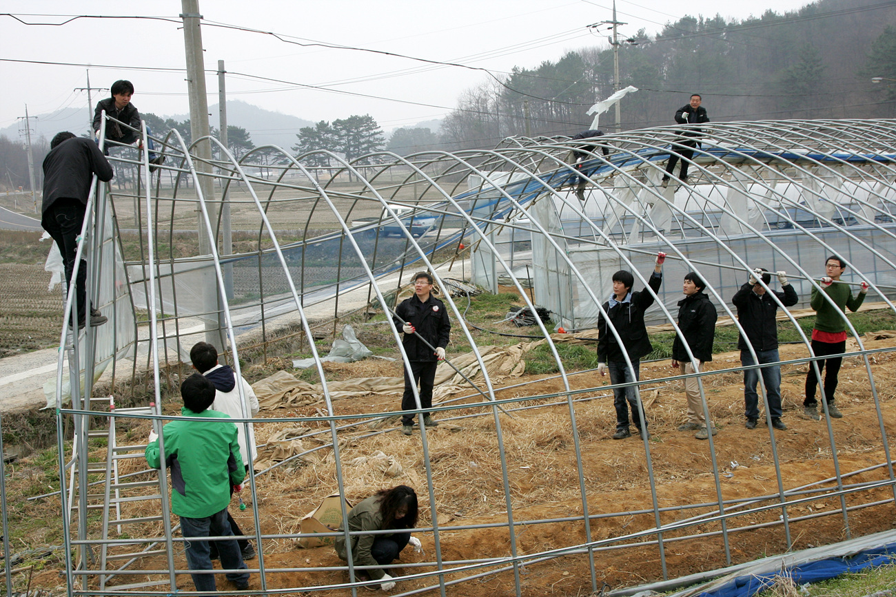 지난 9일 정책기획실과 친환경농림과, 서천읍 직원 20여명이 서천읍 화성리의 피해농가에 방문해 하우스 비닐 철거작업을 실시하고 있다