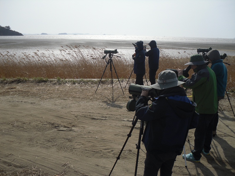 (15일) 서천군, 도요새와 함께하는 습지여행 사진 1