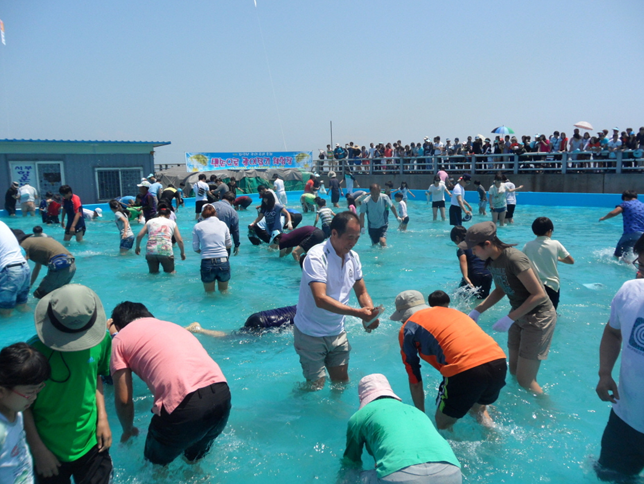 (23일)서천군 제10회 자연산 광어 도미 축제 사진 2