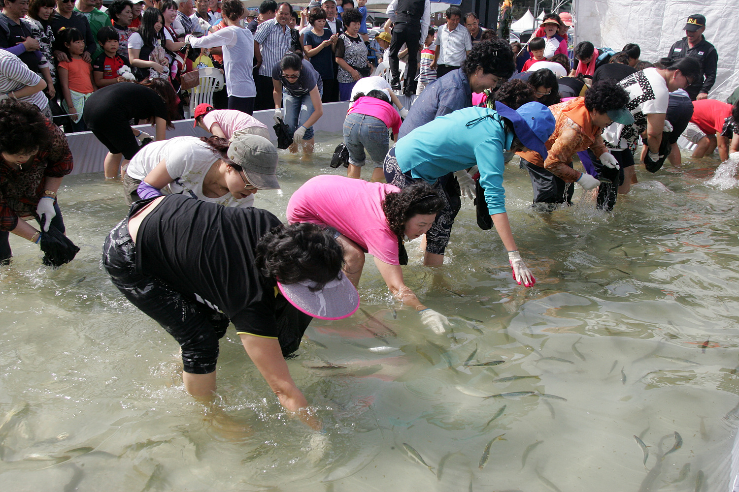 (28일 )전어축제관련 2012년 사진