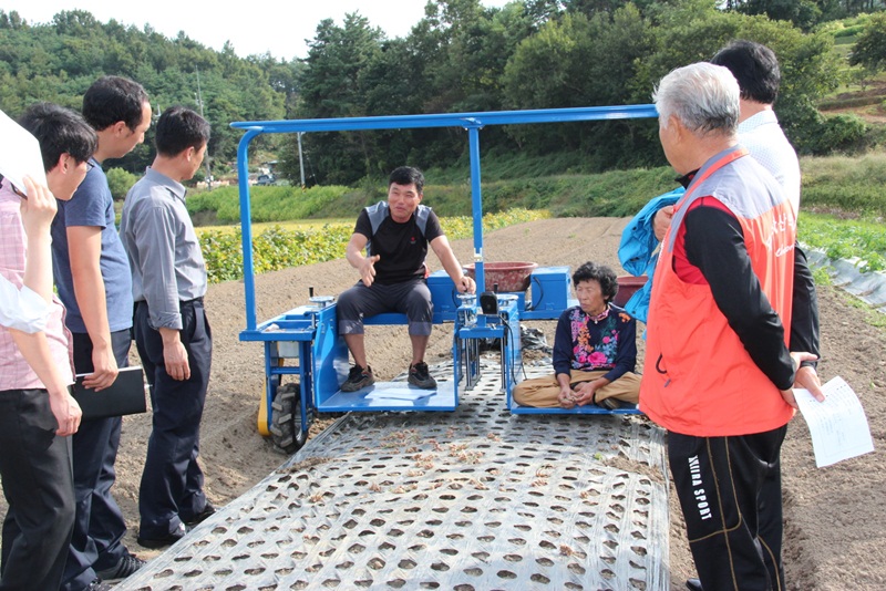 (11일) 쪽파 파종기 시연하는 농업인 (3)