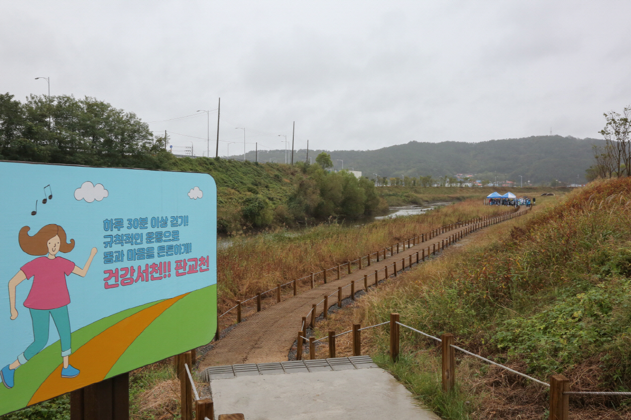 (26일)서천군 판교천 생태복원사업 후 천연기념물 ‘수달’확인, 생태계 복원 청신호(3)