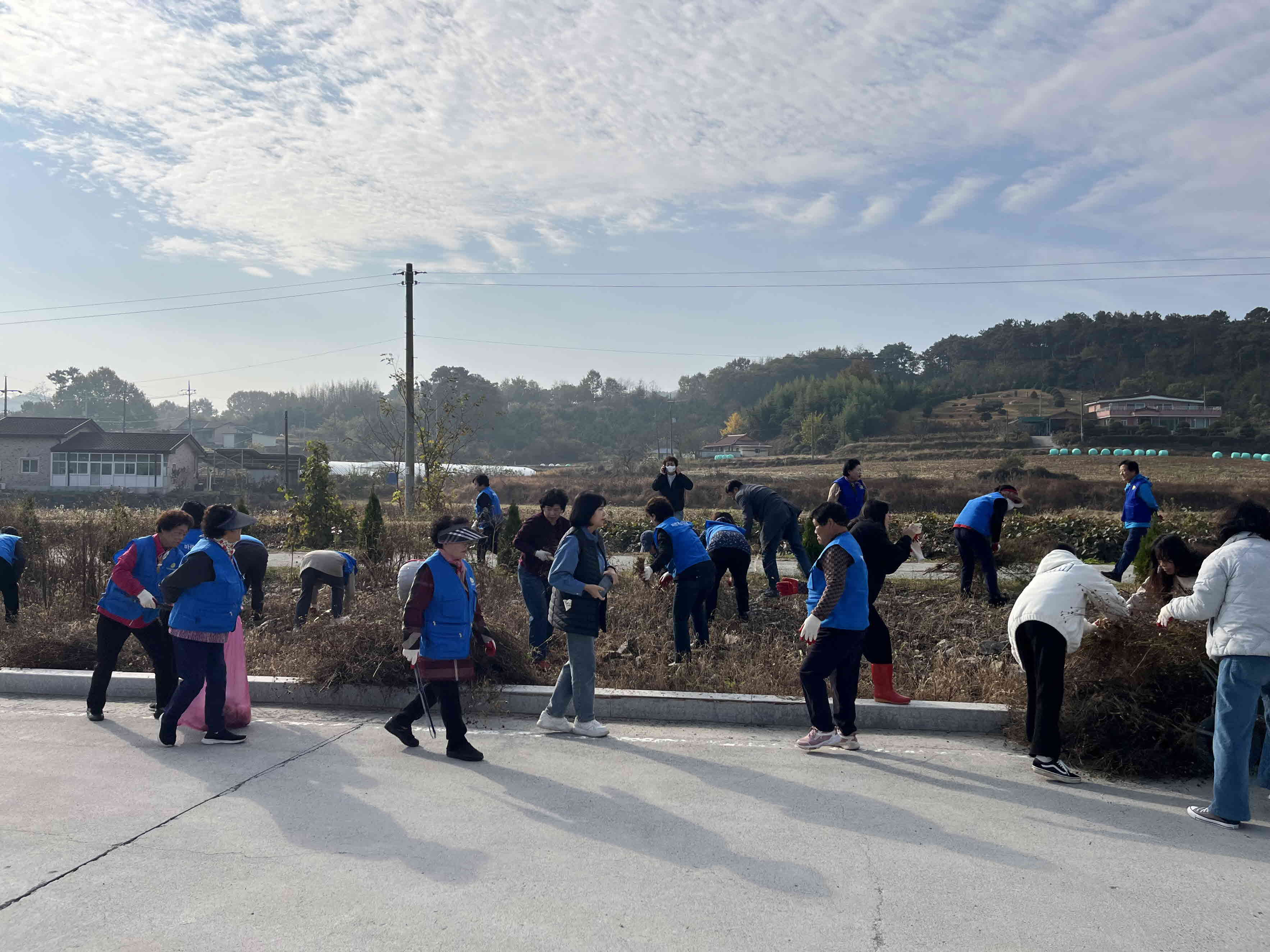 (포토) 시초면 적십자봉사회, 쓰레기 줍기 환경 캠페인 실시