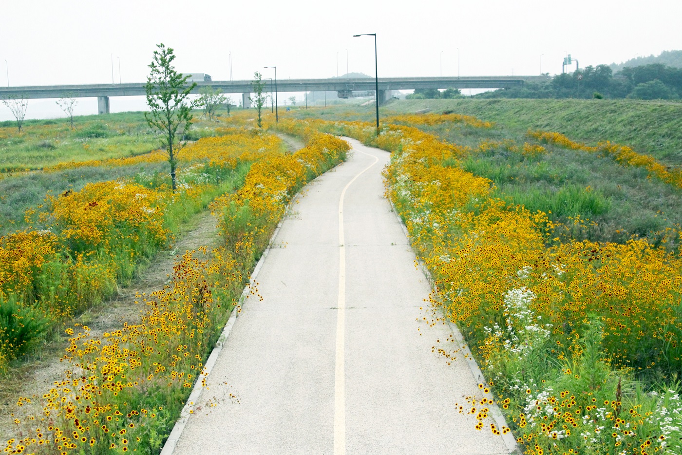 다가오는 무더위 금강변 자전거길을 달리며 날려보자