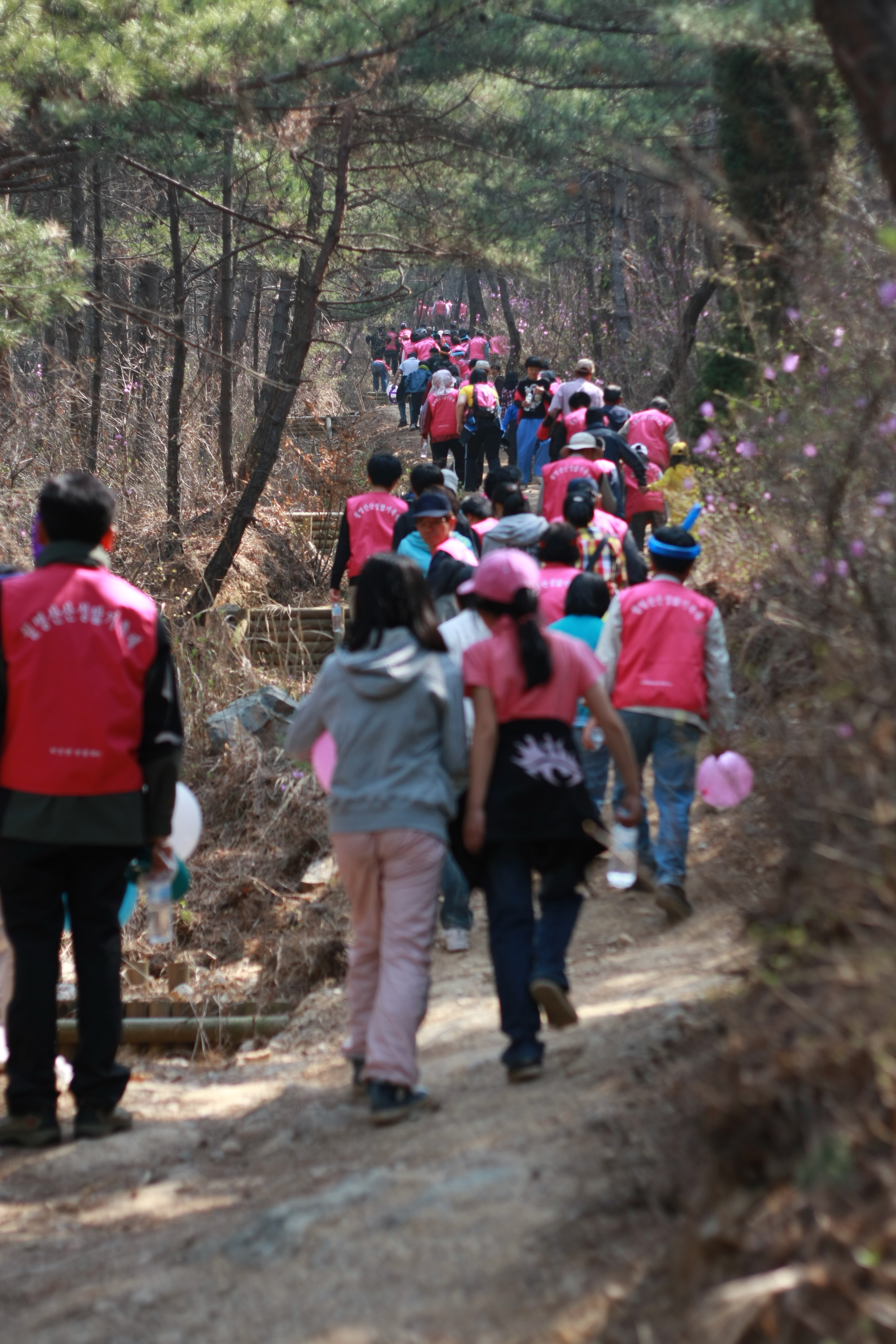 서천군, 제4회 월명산 산성밟기축제 개최