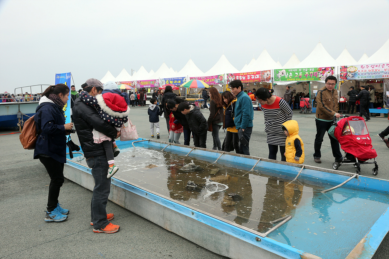 서천군, 동백꽃？주꾸미 축제 성황리 개막