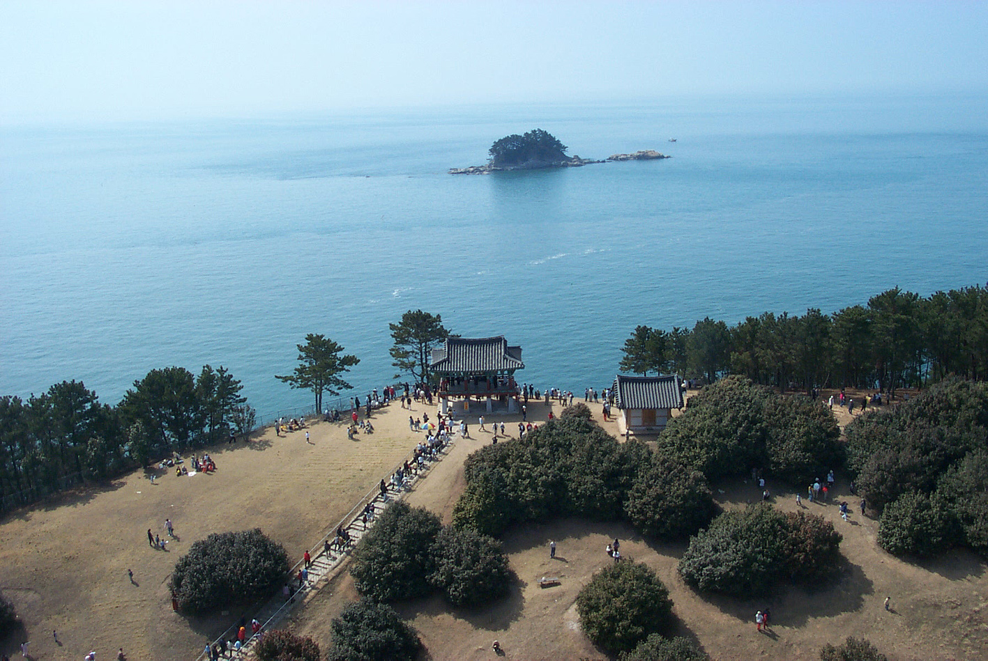 서천 마량리 동백나무숲, 자연유산 홍보영상에 담긴다