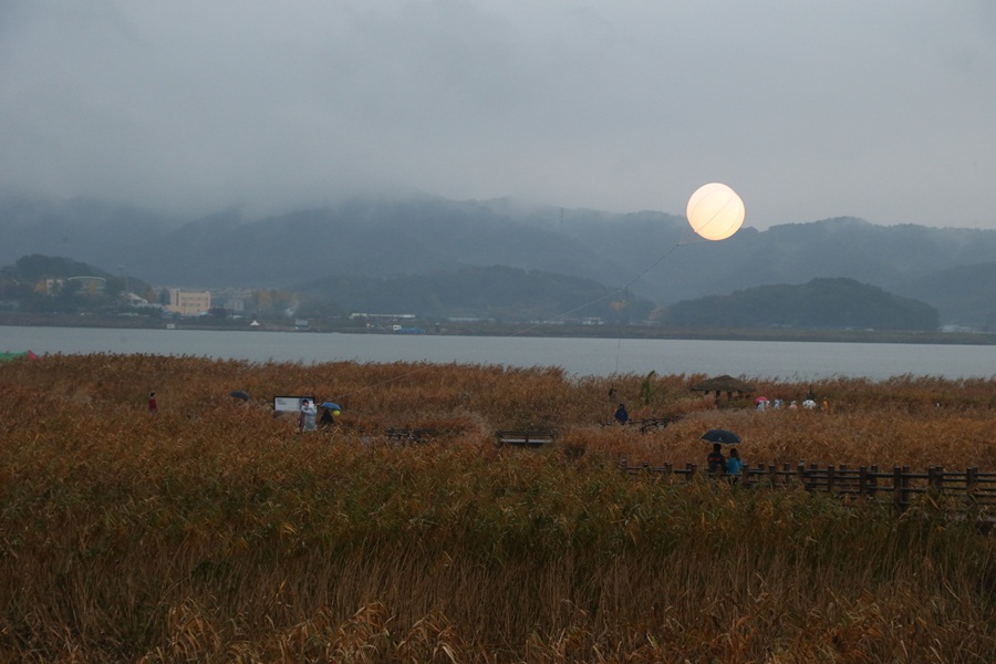 서천 신성리갈대밭, 올해 관광객 41만 명 다녀가