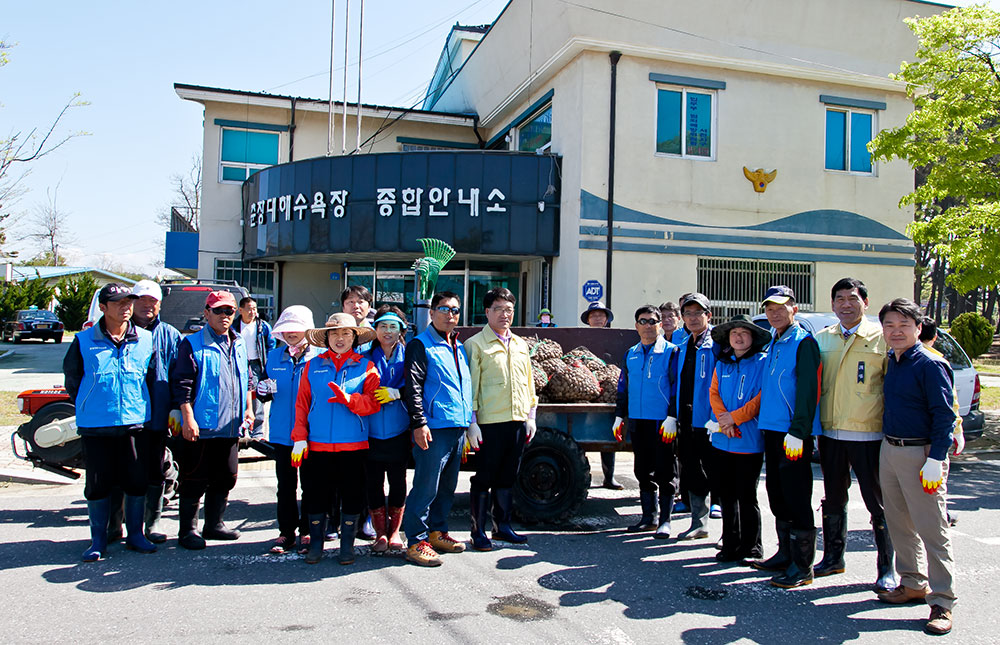 춘장대해수욕장 종패살포