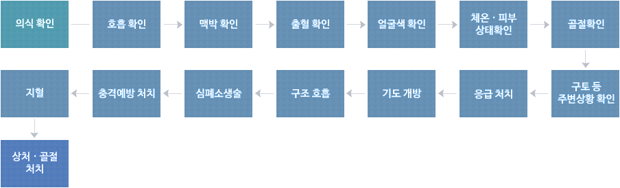 상1. 의식확인 , 2. 호흡확인 , 3. 맥박확인, 4. 출혈확인, 5. 얼굴색확인, 6. 체온과 피부상태 확인, 7. 골절확인, 8. 구토등 주변상황확인, 9. 응급처치, 10. 기도 개방, 11. 구조호흡, 12. 심폐소생술, 13. 충격예방 처치, 14. 지혈, 15. 상처와 골절 처치